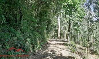 Imagem 5: AREA RURAL em PICADA CAFÉ - RS, BR 116