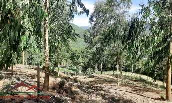 Imagem 6: AREA RURAL em PICADA CAFÉ - RS, BR 116