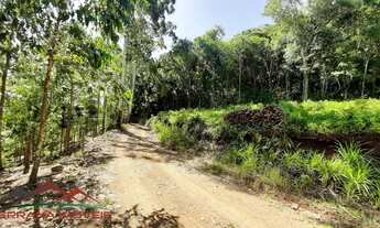 Imagem 3: AREA RURAL em PICADA CAFÉ - RS, BR 116