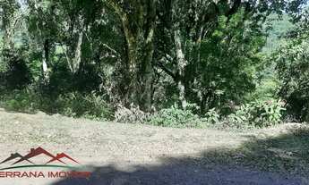 Imagem 3: TERRENO COMERCIAL em PICADA CAFÉ - RS, BR 116