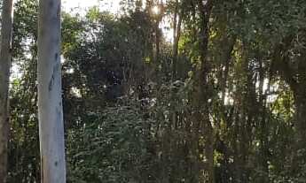 Imagem 2: AREA RURAL em Linha Nova - RS, Canto Ruckert