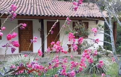 Imagem 7: CHACARA COMERCIAL em NOVA PETRÓPOLIS - RS, Linha Imperial