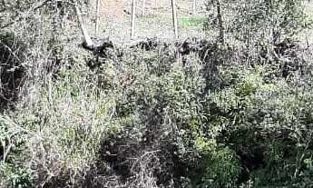 Imagem: AREA RURAL em NOVA PETRÓPOLIS - RS, Vila