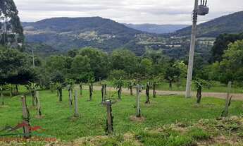 Imagem: CHACARA RURAL em NOVA PETRÓPOLIS - RS