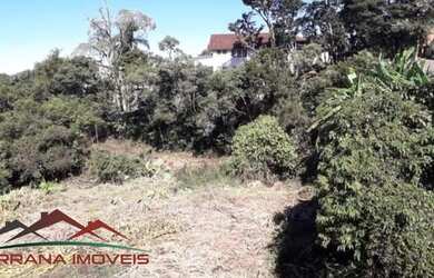 Imagem 2: AREA RURAL em NOVA PETRÓPOLIS - RS, Vila Olinda