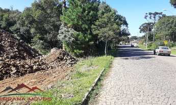 Imagem 3: TERRENO COMERCIAL em NOVA PETRÓPOLIS - RS, Vila Germania