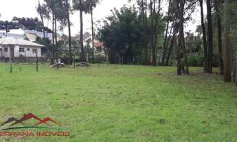 Imagem 5: TERRENO RESIDENCIAL em NOVA PETRÓPOLIS - RS, Juriti