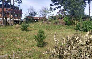 Imagem 7: TERRENO RESIDENCIAL em NOVA PETRÓPOLIS - RS, Bavária