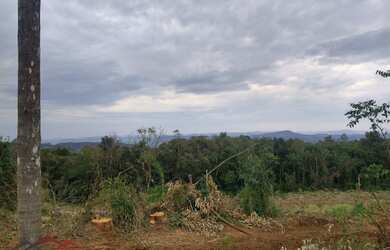 Imagem 6: AREA RURAL em LINHA NOVA - RS, Interior