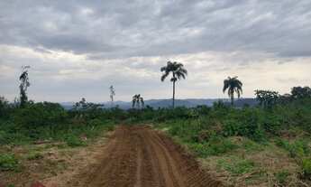 Imagem: AREA RURAL em LINHA NOVA - RS, Interior