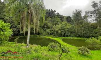 Imagem 3: AREA RESIDENCIAL em NOVA PETRÓPOLIS - RS, Pirajá Baixa