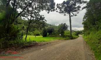 Imagem 7: AREA RESIDENCIAL em NOVA PETRÓPOLIS - RS, Pirajá Baixa