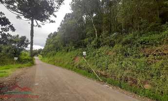 Imagem 1: AREA RESIDENCIAL em NOVA PETRÓPOLIS - RS, Pirajá Baixa