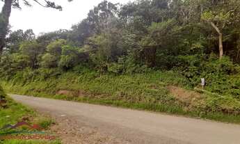 Imagem 6: AREA RESIDENCIAL em NOVA PETRÓPOLIS - RS, Pirajá Baixa