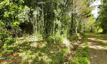 Imagem 6: AREA RURAL em CAXIAS DO SUL - RS, PEDANCINO