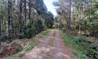 Imagem 1: AREA RURAL em CAXIAS DO SUL - RS, PEDANCINO