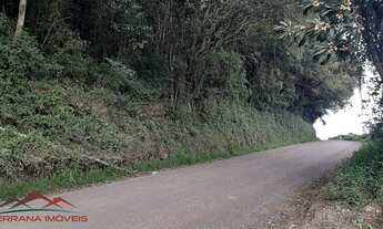 Imagem 2: AREA RESIDENCIAL em NOVA PETRÓPOLIS - RS, Pirajá Baixa