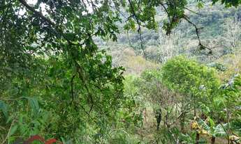 Imagem 4: CHACARA RURAL em NOVA PETRÓPOLIS - RS, São José do Caí