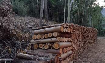 Imagem 4: AREA RURAL em NOVA PETRÓPOLIS - RS, Arroio Paixão