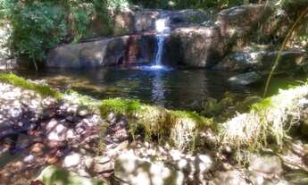 Imagem: CHACARA RESIDENCIAL em NOVA PETRÓPOLIS