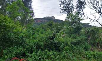 Imagem 7: CHACARA RURAL em NOVA PETRÓPOLIS - RS, São José do Caí