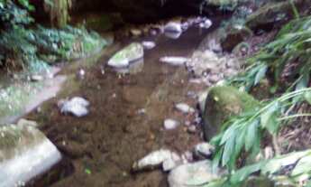 Imagem 5: AREA RURAL em NOVA PETRÓPOLIS - RS, Arroio Paixão