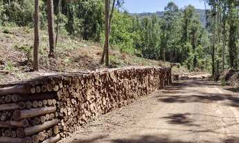 Imagem: AREA RURAL em NOVA PETRÓPOLIS - RS, Arroio