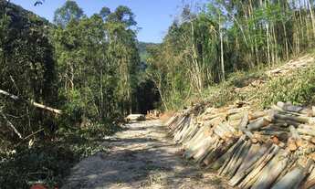 Imagem 7: AREA RURAL em NOVA PETRÓPOLIS - RS, Arroio Paixão
