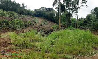 Imagem 3: AREA RURAL em NOVA PETRÓPOLIS - RS, Linha Olinda