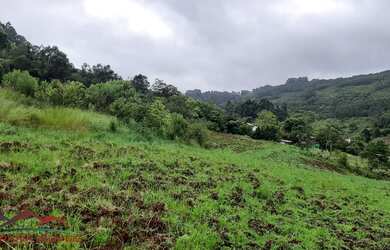 Imagem 6: AREA RESIDENCIAL em LINHA NOVA - RS, Canto Bayer