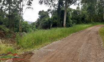 Imagem 2: AREA RURAL em NOVA PETRÓPOLIS - RS, Linha Olinda