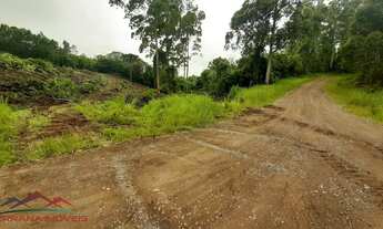 Imagem 4: AREA RURAL em NOVA PETRÓPOLIS - RS, Linha Olinda