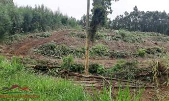 Imagem 7: AREA RURAL em NOVA PETRÓPOLIS - RS, Linha Olinda
