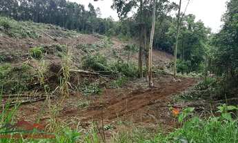 Imagem 6: AREA RURAL em NOVA PETRÓPOLIS - RS, Linha Olinda