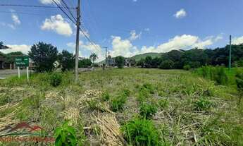 Imagem 3: TERRENO COMERCIAL em PICADA CAFÉ - RS, Bela Vista