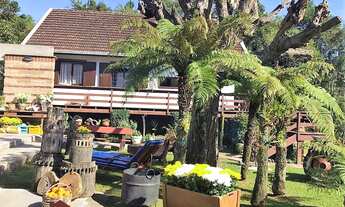 Imagem 4: Belíssimo sítio com 13 hectares e uma infraestrutura ótima a venda na Linha Imperial - Nov