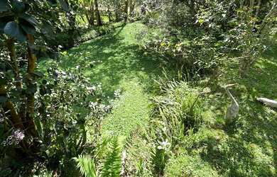 Imagem 4: CHACARA RESIDENCIAL em Eldorado do Sul - RS, Parque Eldorado