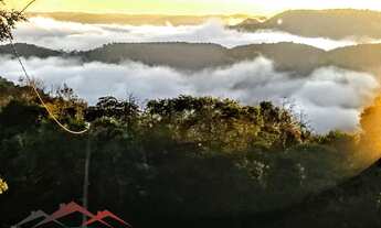 Imagem 2: Terreno 500m² tem 30 metros de frente para Rua 25 de Julho, na sua frente é uma área de pr