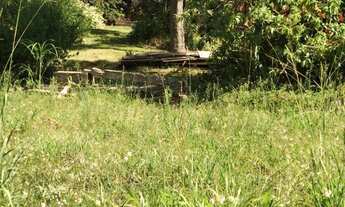 Imagem 7: TERRENO RESIDENCIAL em NOVA PETRÓPOLIS - RS, Bavária