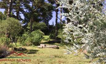 Imagem: TERRENO RESIDENCIAL em NOVA PETRÓPOLIS