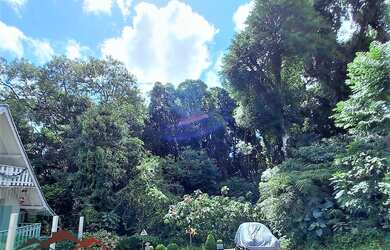 Imagem 3: Oportunidade de investir em um ótimo terreno no centro de Nova Petrópolis São 2.800 m², se