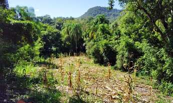 Imagem 5: TERRENO COMERCIAL em PICADA CAFÉ - RS, Centro