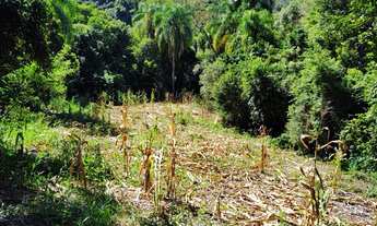 Imagem 2: TERRENO COMERCIAL em PICADA CAFÉ - RS, Centro