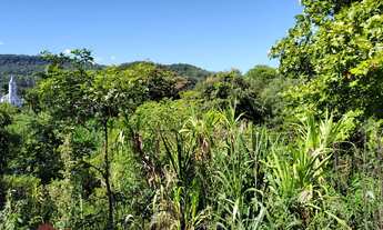 Imagem 3: TERRENO COMERCIAL em PICADA CAFÉ - RS, Centro