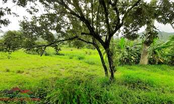 Imagem 3: TERRENO RESIDENCIAL em PICADA CAFÉ - RS, Lichtenthal