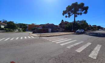 Imagem 2: TERRENO COMERCIAL em NOVA PETRÓPOLIS - RS, Logradouro