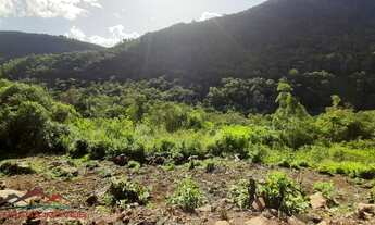 Imagem 5: AREA RURAL em NOVA PETRÓPOLIS - RS, Pedancino