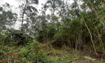 Imagem 5: AREA RURAL em NOVA PETRÓPOLIS - RS, Linha Imperial