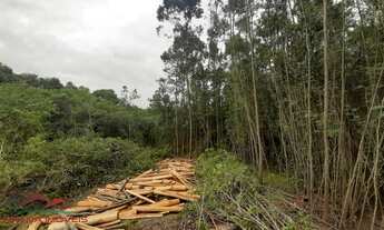 Imagem 6: AREA RURAL em NOVA PETRÓPOLIS - RS, Linha Imperial