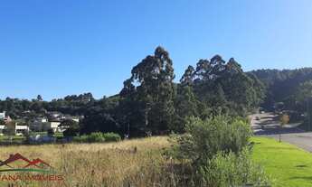 Imagem: AREA COMERCIAL em LINHA NOVA - RS, Centro